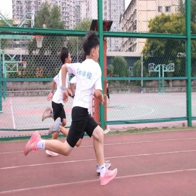 足球杯赛焦点对决：第218组阵容解读与观赛指南